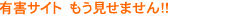 有害サイト もう見せません!!